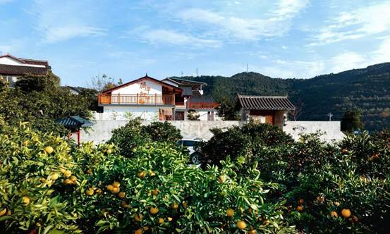 四川苍溪：方寸庭院里的“金山银山”