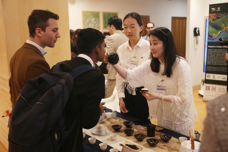 “世界茶乡看浙江”国际交流活动在罗马举办