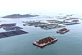 “海上钢铁侠”织就“福海粮仓”