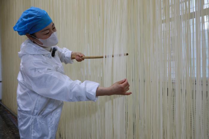 甘肃民勤：沙漠绿洲里构建从麦粒到面条产业链