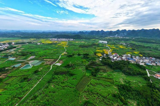 壮乡田野的“智慧”之变：以AI推动农业发展