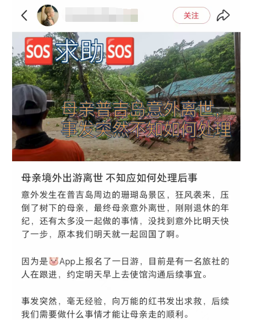 中国女游客被砸身亡！女儿崩溃：原定明天回国，刚退休的年纪，意外先到了！插图