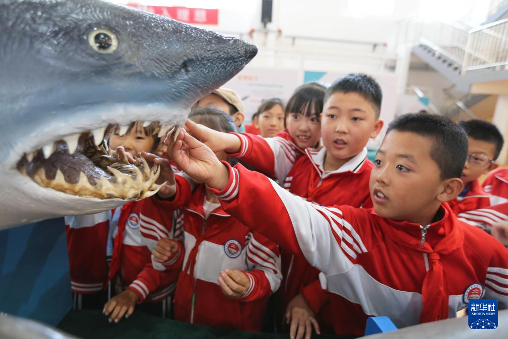 9月8日，在甘肃省定西市举办的“山海相依，筑梦蔚蓝”山东青岛·甘肃定西海洋科普东西部协作主题活动中，定西市安定区关川实验学校的学生在观看海洋生物标本。 今年9月是首个全国科普月，各地青少年参观科技场馆、体验科普设备，感受科技魅力。 新华社发（王克贤摄）pagebreak