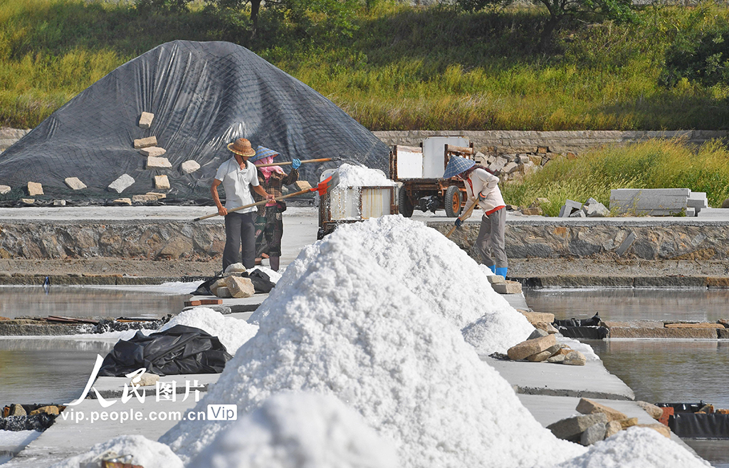 福建泉州：盐场作业插图2