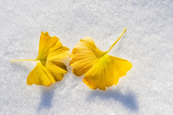 立冬后重在“养神”