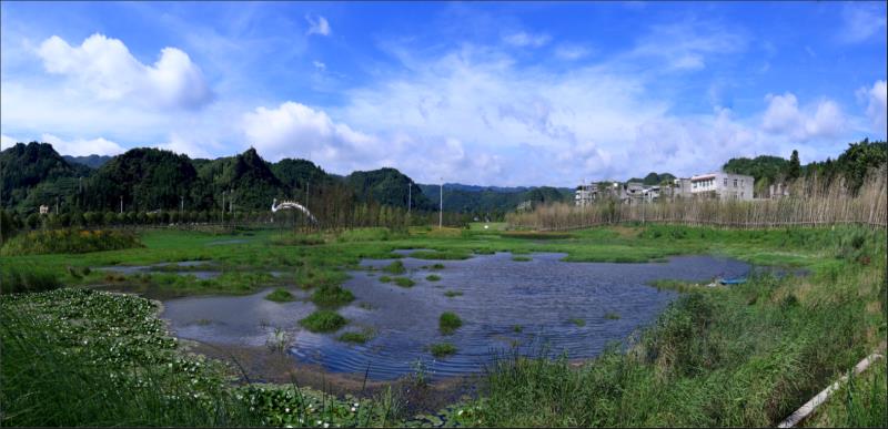 织金凤凰生态湿地公园图片