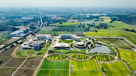 “三驾马车”驱动种业振兴提速：“邛崃村糖会”搭台助力 “邛崃育・邛崃产”飘香年货季