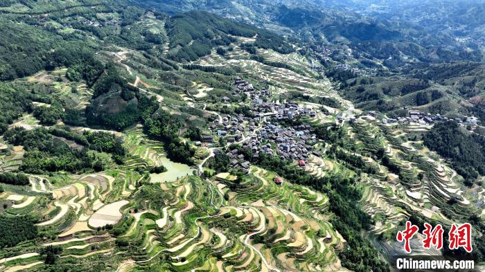广西三江:小满时节梯田美