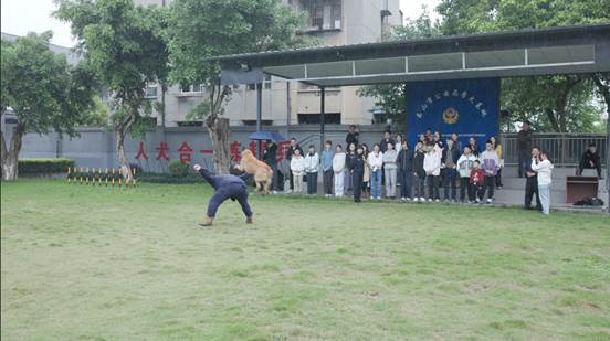 乐山警营开放日：“了不起”的中国功夫征服法国中小学生