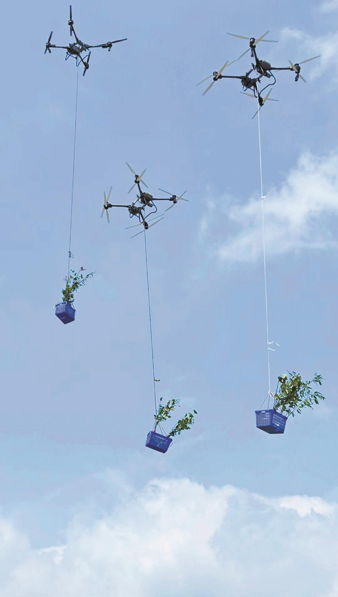 无人机运输苗木、肥料，山地造林提效18倍