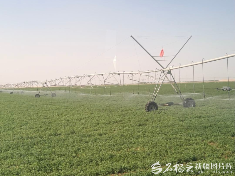 百度搜索欧美另类z0z派对资源后才发现，评论区真香与踩坑只差一步