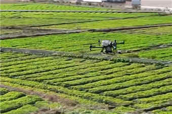 科技助力“智”绘农业农村发展新图景