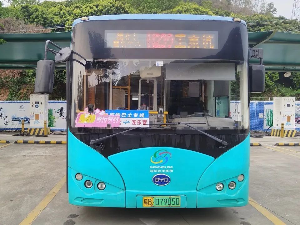 深圳首条宠物友好巴士试开通，网友：可以去撸猫撸狗吗？