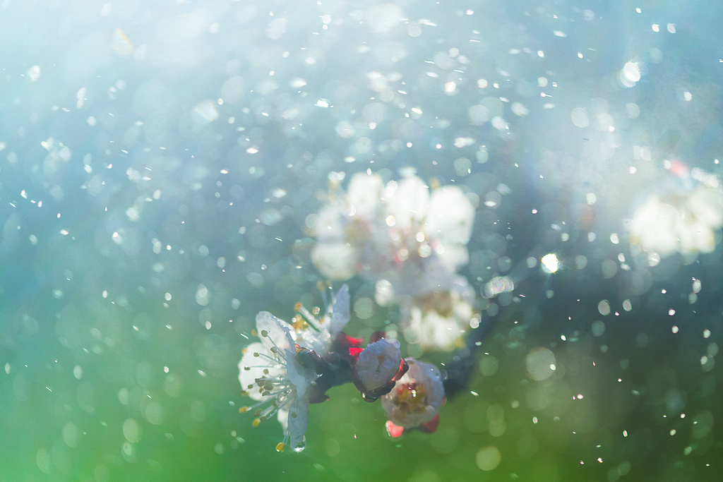 春季花粉过敏怎么办？