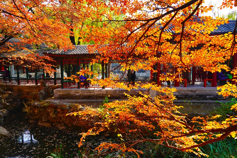 北京颐和园秋日盛景如诗如画