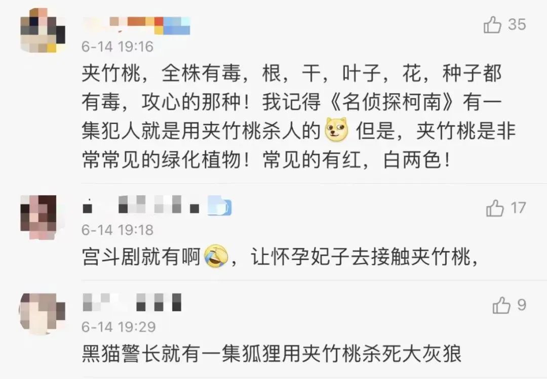 街头夹竹桃开得正美！千万别碰，有毒插图6