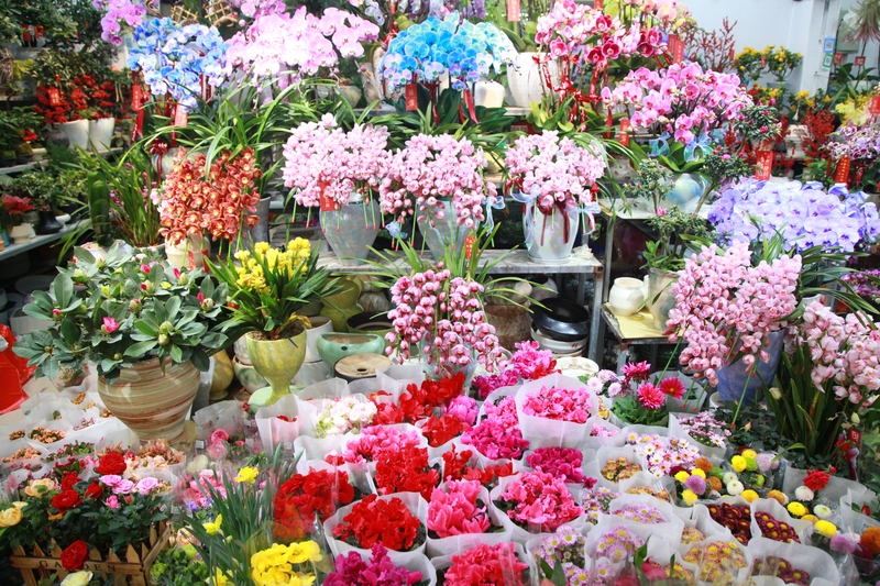 南京市民买花卉 迎新年