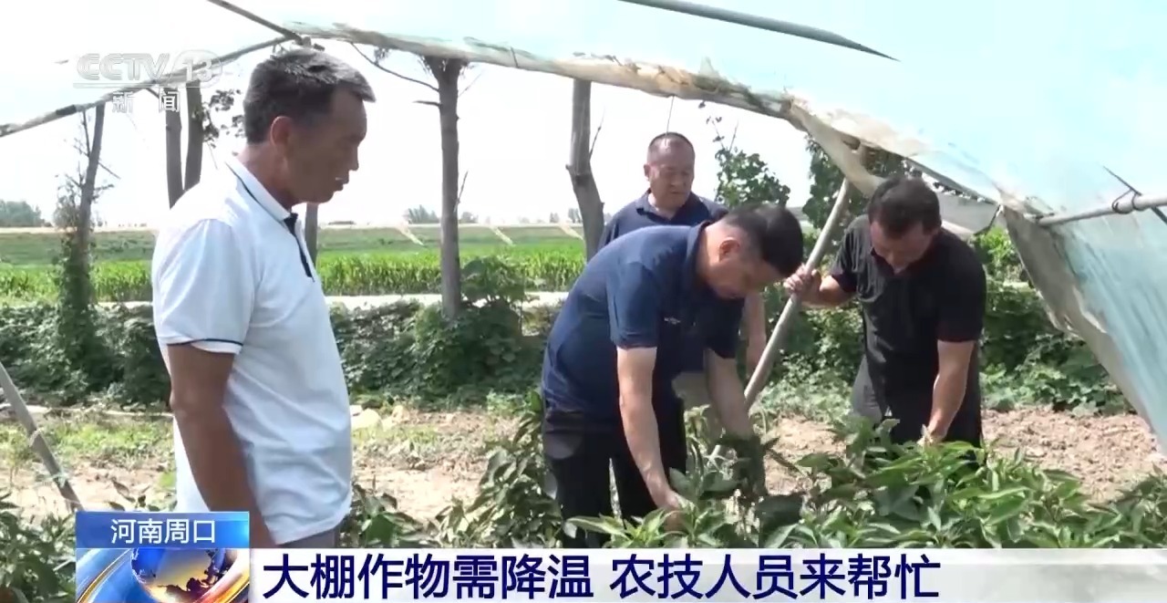 河南啟動重大氣象災害高溫四級應急響應作物