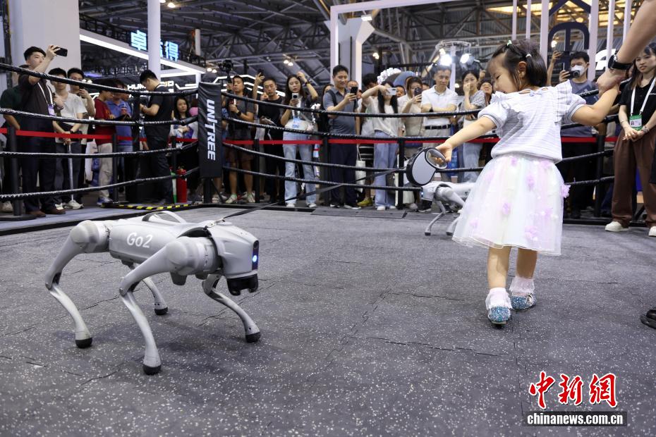 7月26日，小朋友在遛机器狗。当日，2025世界人工智能大会在上海开幕。今年大会展览面积首次突破7万平方米，吸引了800余家企业参展，集中展示3000余项前沿展品及100余款