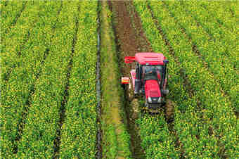 湖南道县：翻耕农田