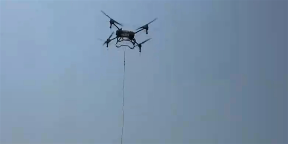 良機良法“智”繪夏播圖科技為秋糧“豐”景打好基礎插秧