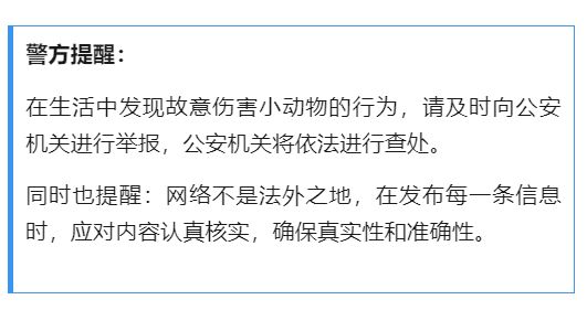 “多只小猫被挖眼砍断四肢”是AI软件生成文章,发布人被行政处罚-图片5