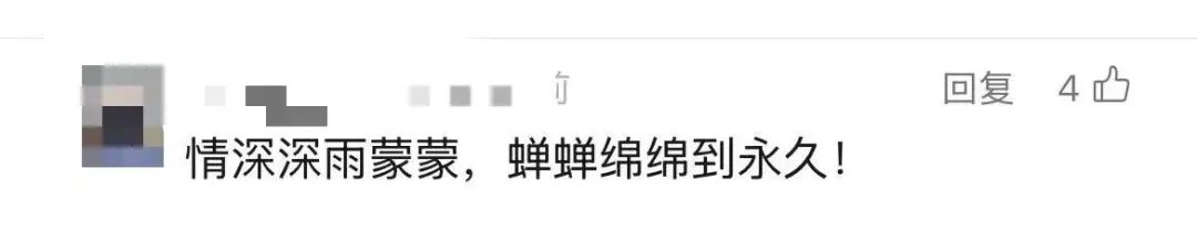 上海市民遭遇困扰：树上滴水，舔了才知道是尿！这物种今年明显增多？专家分析插图9