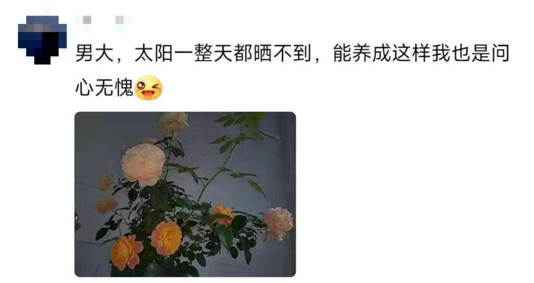这个宿舍终究还是选对了！网友：可以睡觉是它最不值一提的优点插图10