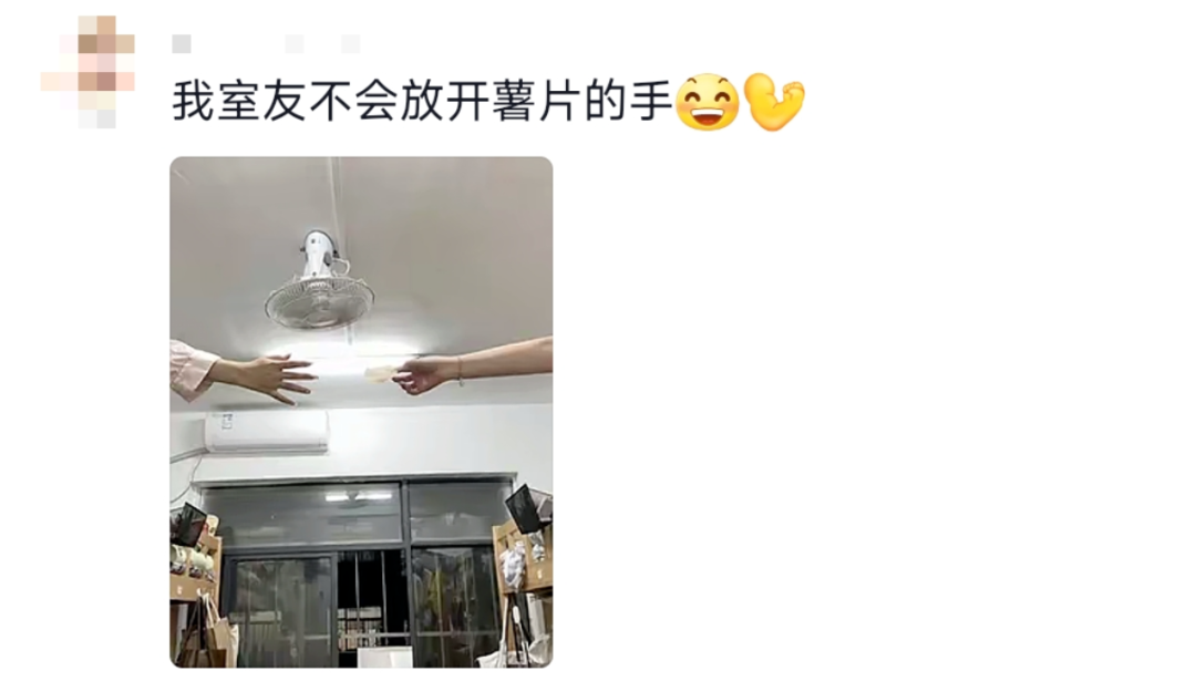 这个宿舍终究还是选对了！网友：可以睡觉是它最不值一提的优点插图17