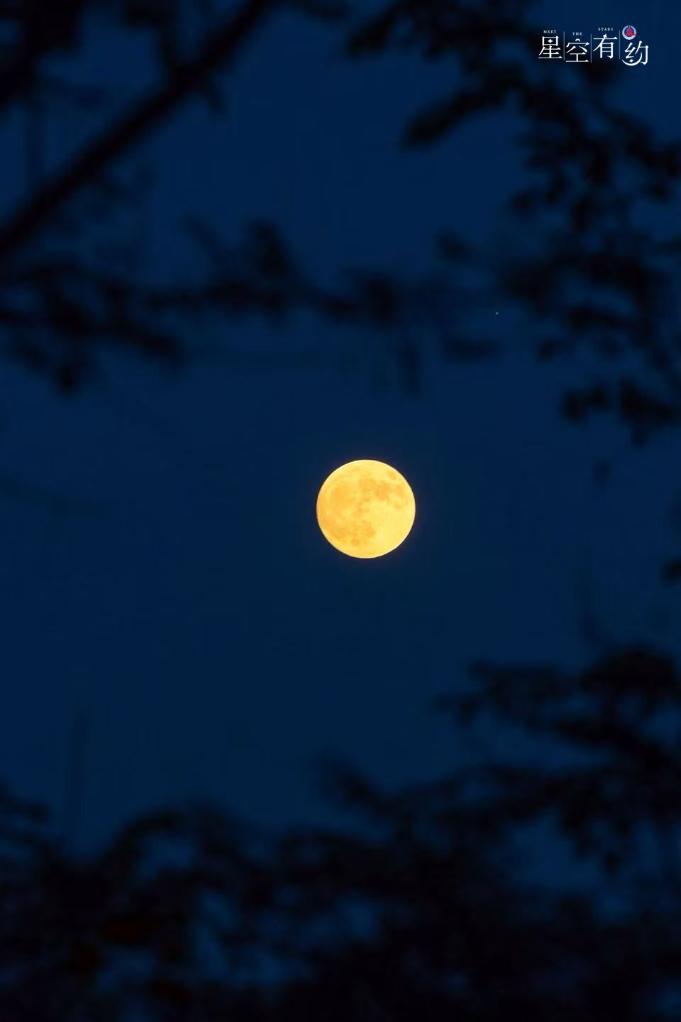 夢(mèng)想海島王