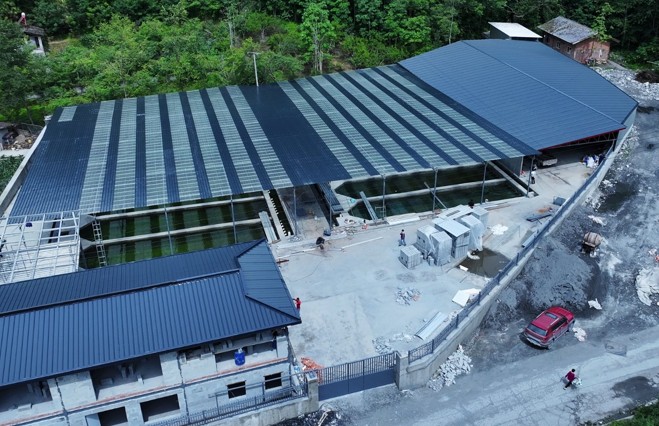 四川平武：首个虹鳟育苗基地投用 实现种苗自主繁育零的突破