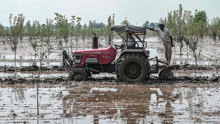 财经观察：农民困境削弱莫迪对美贸易谈判筹码