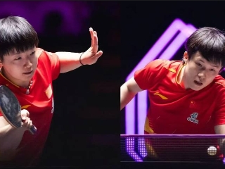 国际乒联第41周世界排名出炉