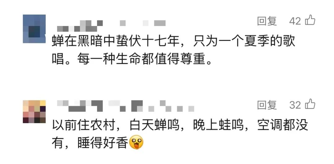 上海市民遭遇困扰：树上滴水，舔了才知道是尿！这物种今年明显增多？专家分析插图8