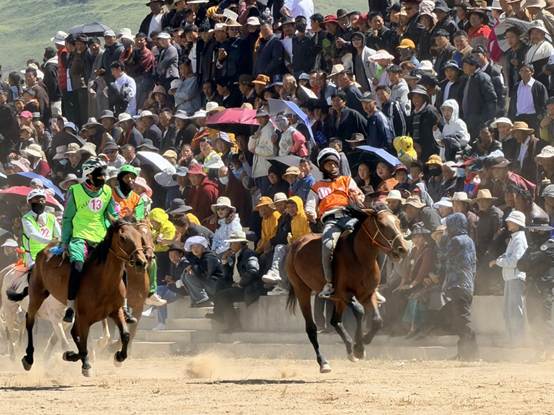 四川甘孜县：百马盛装踏尘来 20乡镇草原争霸上演马背盛宴