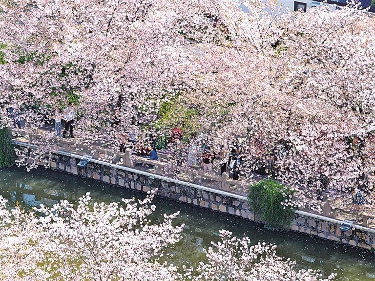 天富官方注册-天富平台-路边等你
