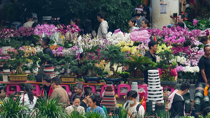 云南昆明：斗南花市鲜花俏销