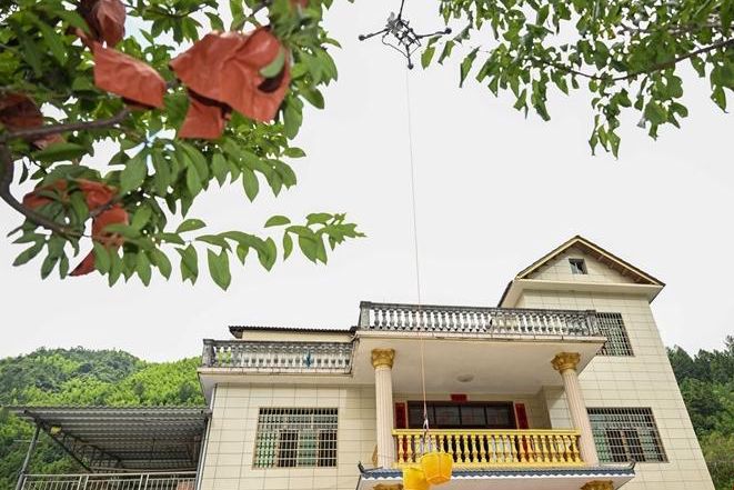 炎陵黄桃“坐”上了无人机
