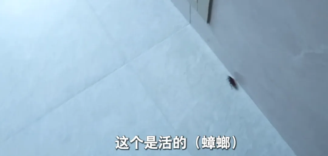 66岁独居老人为拒绝借钱，网购花费200万塞满两套房，只能睡在快递堆插图1