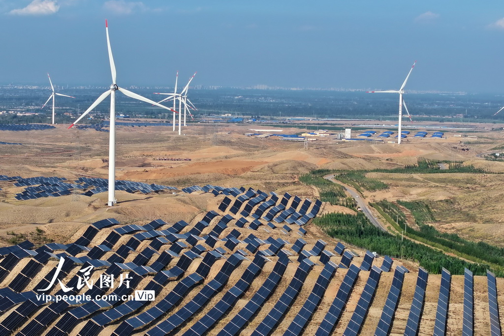 宁夏青铜峡：戈壁滩上好“风景”插图2