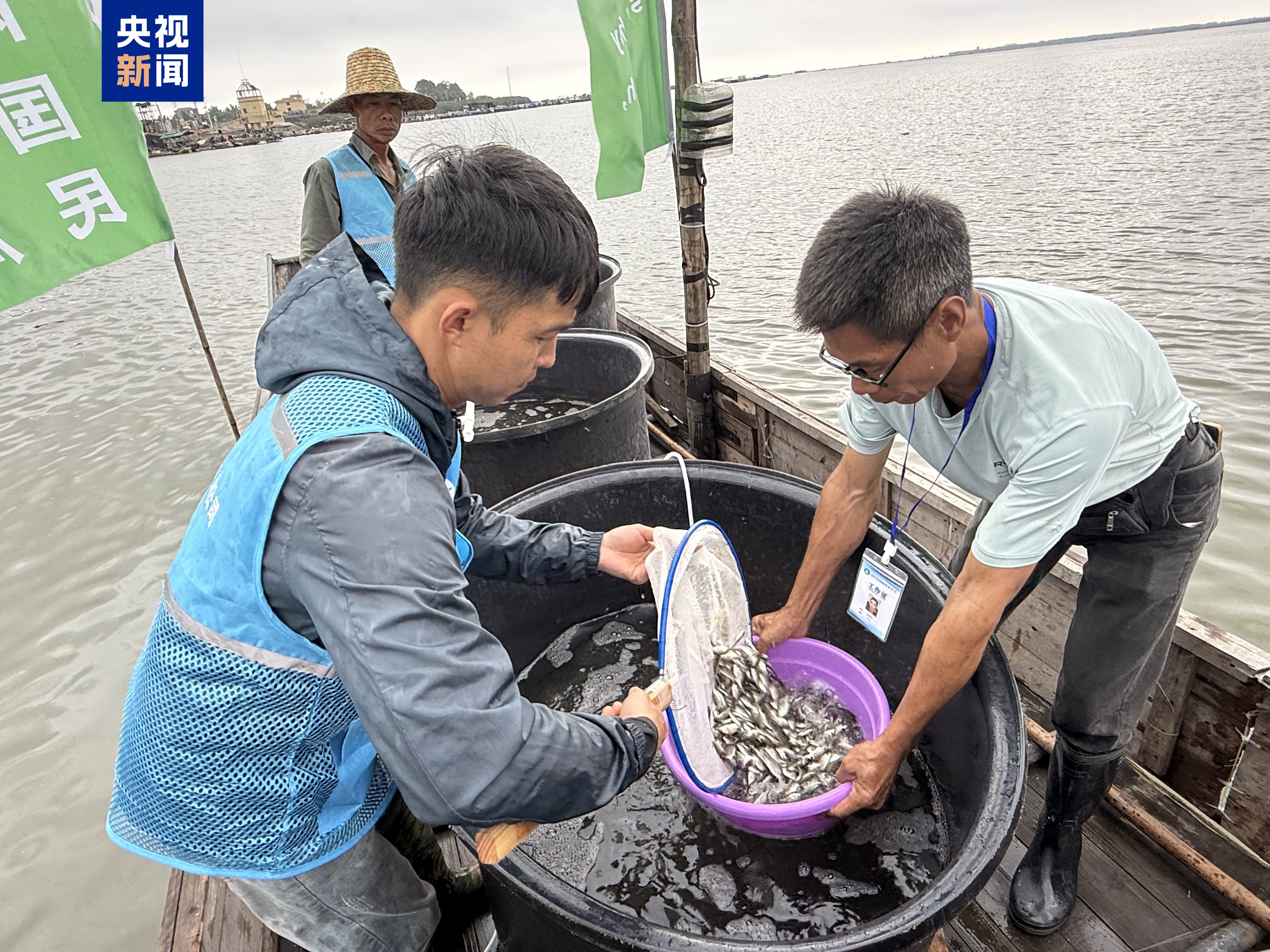 中越联合举行2025年北部湾渔业资源增殖放流活动