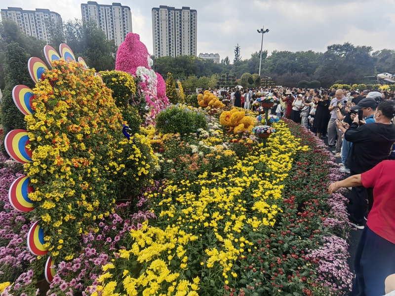 哈尔滨：菊花展人山人海 市民先睹为快