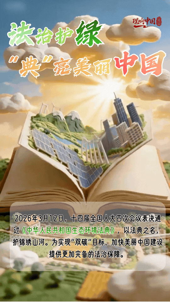 理响中国·一笔一画｜法治护绿！“典”亮美丽中国