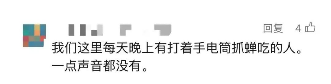 上海市民遭遇困扰：树上滴水，舔了才知道是尿！这物种今年明显增多？专家分析插图6