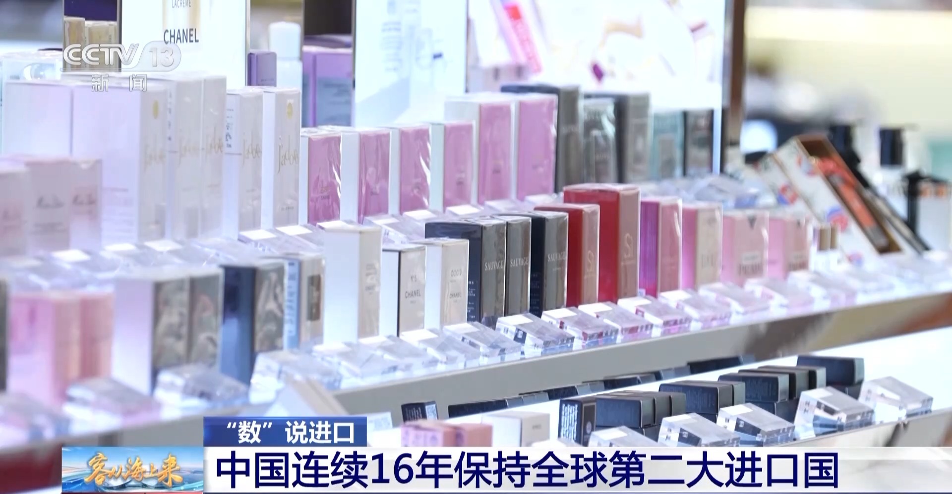 这些年我国进口贸易有哪些变化?进博会将揭晓答案