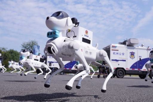 杭州余杭警队机器狗可与无人机空地联防