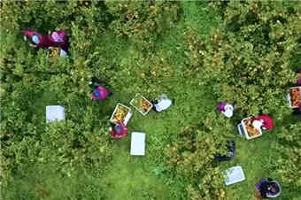 我国优质农产品供给能力稳步提升