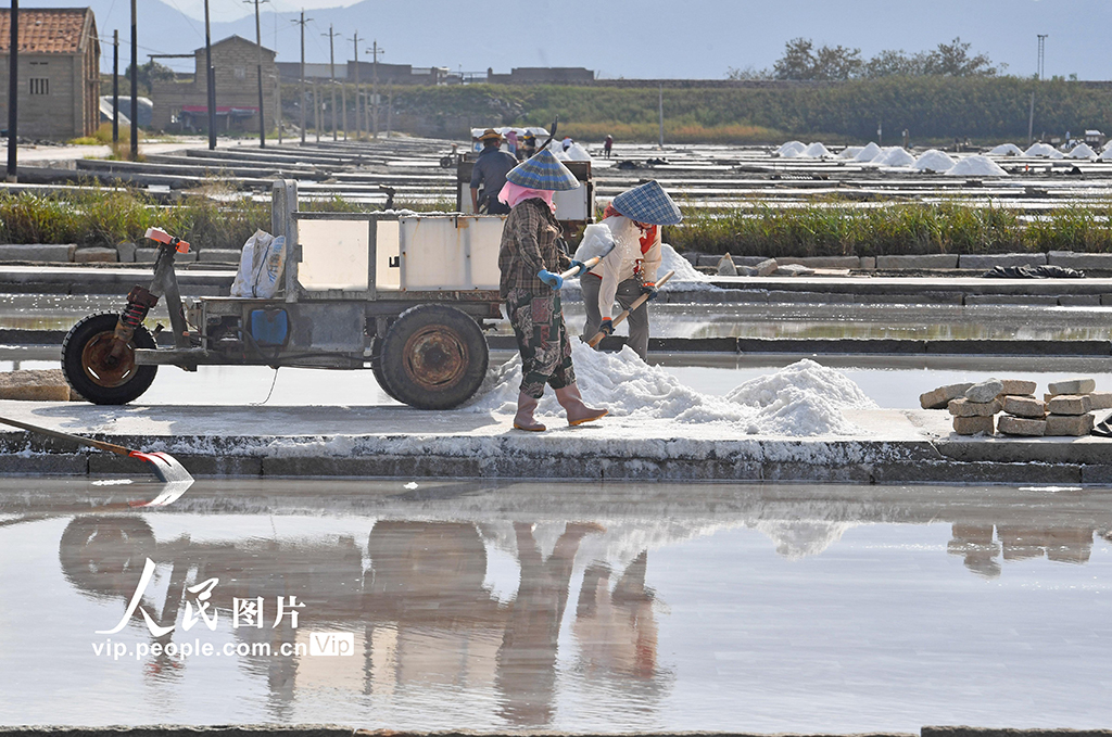 福建泉州：盐场作业插图6