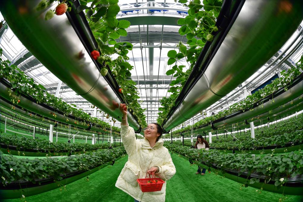 陕建股份开年新签合同稳健增长 新兴业务步入商业化运营阶段