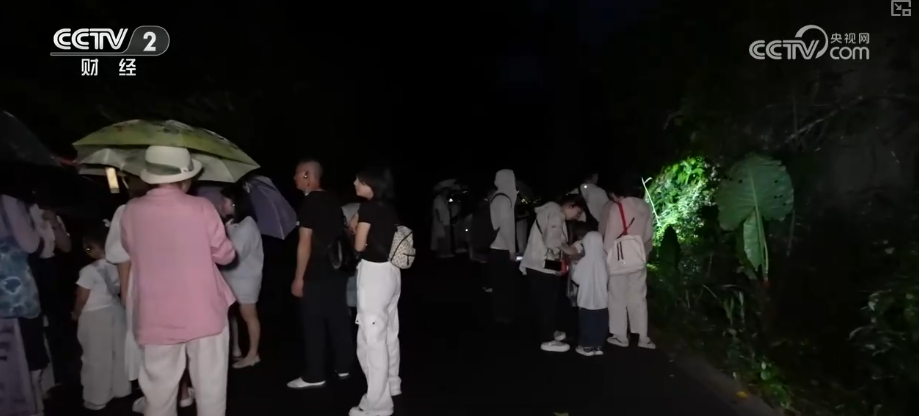 “科技感”“体验感”成文旅新关键词 花样“夜”态圈粉游客“住下来、细细品”插图3